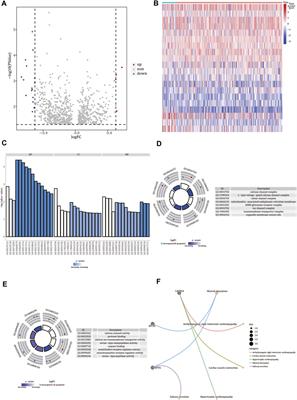 Identification and Comprehensive Analysis of FREM2 Mutation as a Potential Prognostic Biomarker in Colorectal Cancer